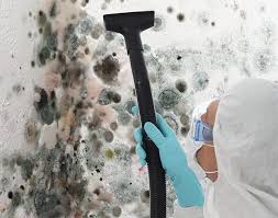 Environmental Consulting for Mold Prevention in Canadian Lakes, MI